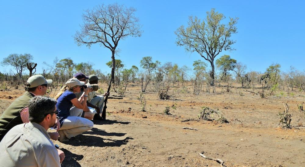 Hoyo Hoyo Safari Lodge Mluwati Concession Екстер'єр фото