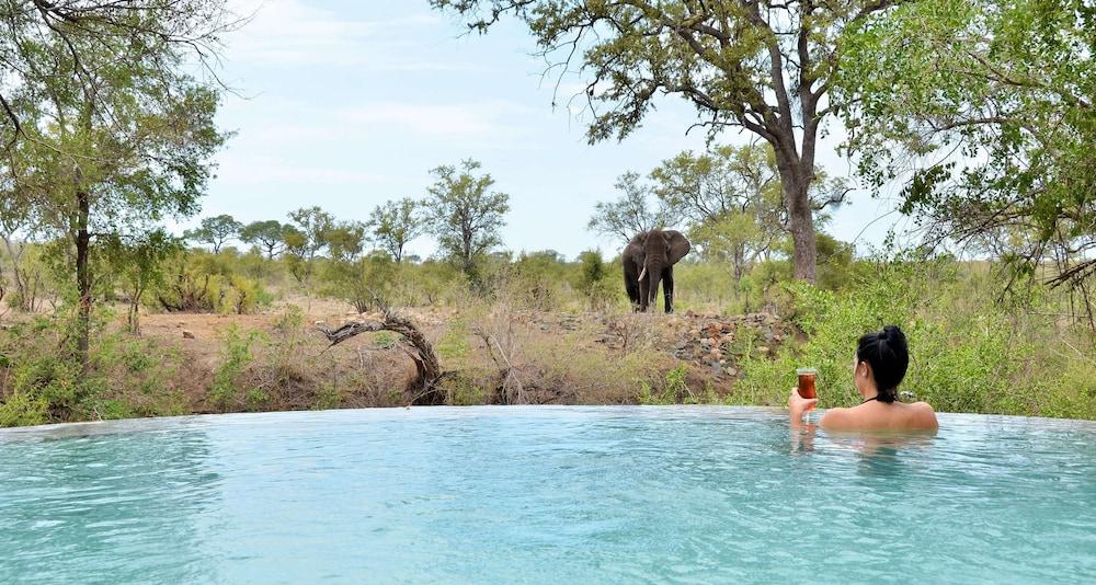 Hoyo Hoyo Safari Lodge Mluwati Concession Екстер'єр фото