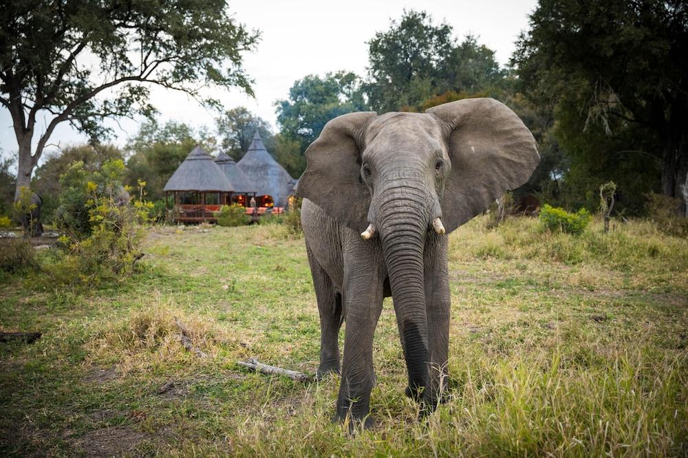 Hoyo Hoyo Safari Lodge Mluwati Concession Екстер'єр фото