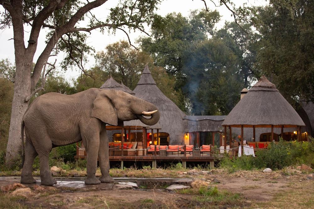 Hoyo Hoyo Safari Lodge Mluwati Concession Екстер'єр фото
