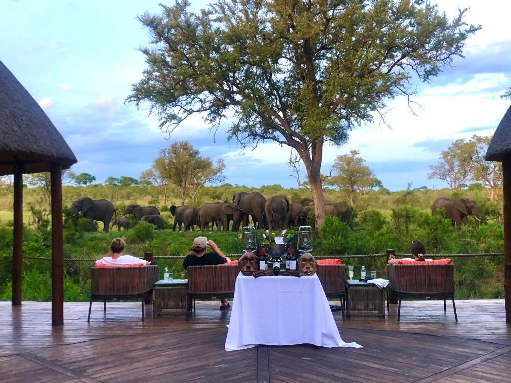 Hoyo Hoyo Safari Lodge Mluwati Concession Екстер'єр фото