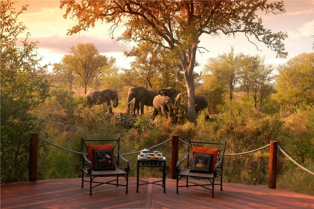 Hoyo Hoyo Safari Lodge Mluwati Concession Екстер'єр фото