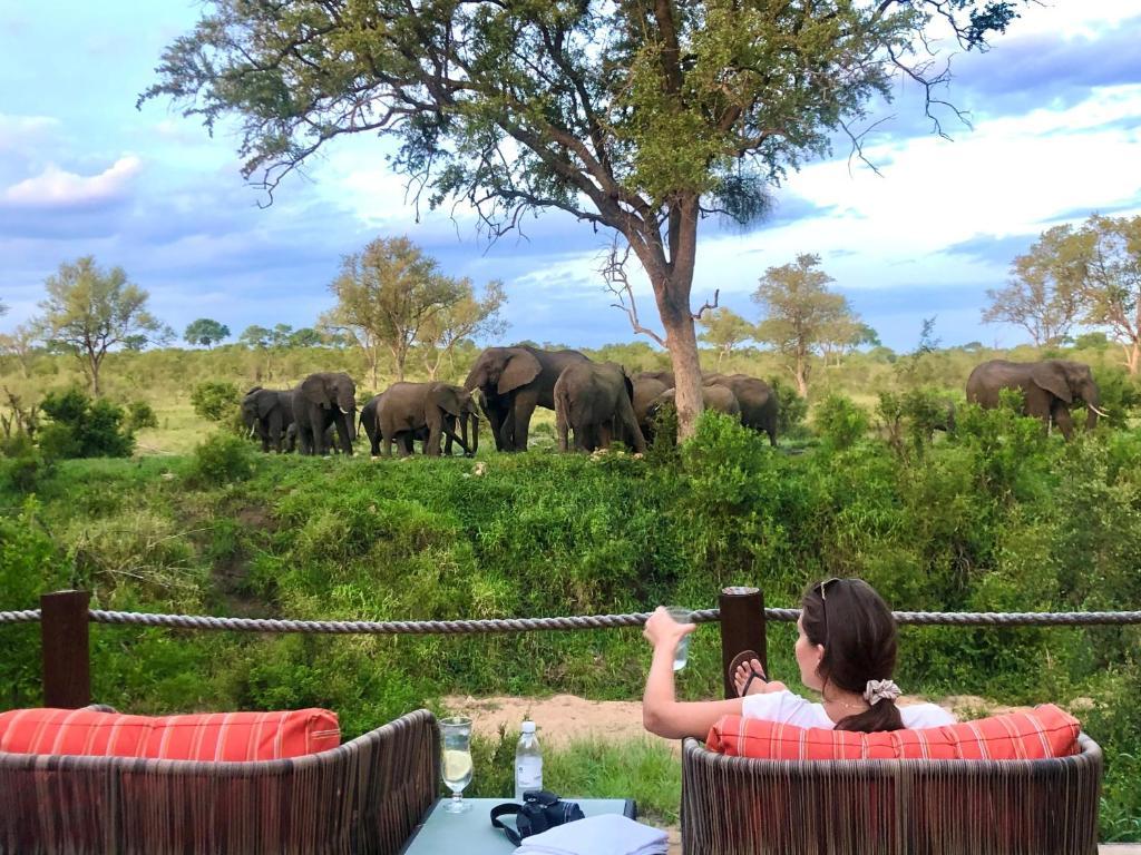 Hoyo Hoyo Safari Lodge Mluwati Concession Екстер'єр фото